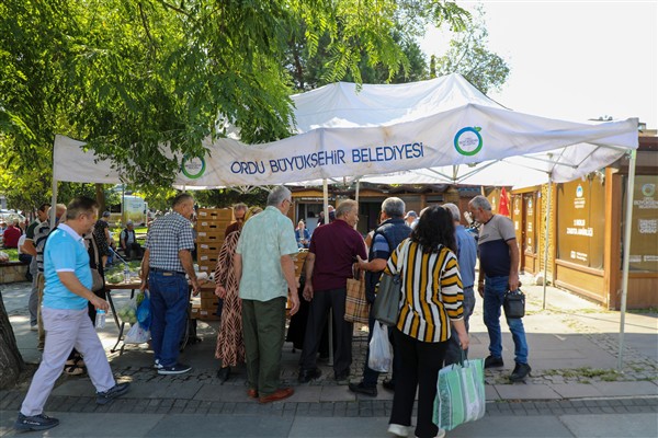 Ordu'da kışlık sebze fide dağıtımları başladı