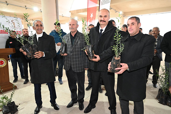 Hasankeyf’te çiftçilere 5 bin zeytin fidanı dağıtıldı