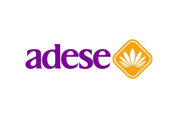 Adese'nin bağlı ortaklığının araç alım devirleri