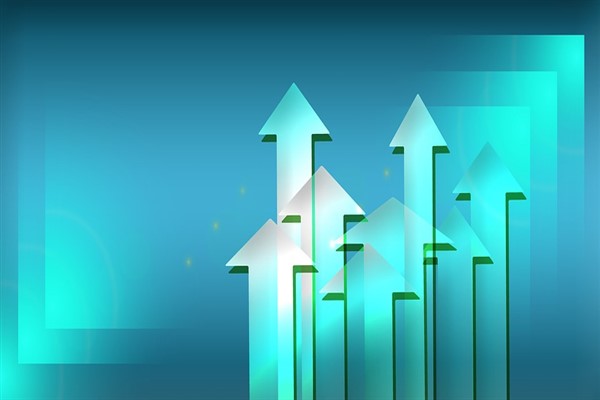 Ensari Sınai Yatırımlar'ın sermaye artırımı